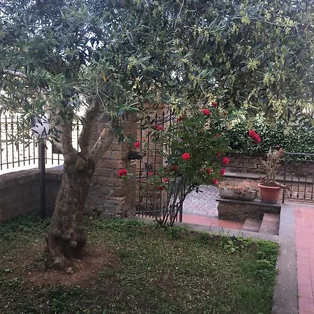 Casa Delle Tartarughe Sutri
